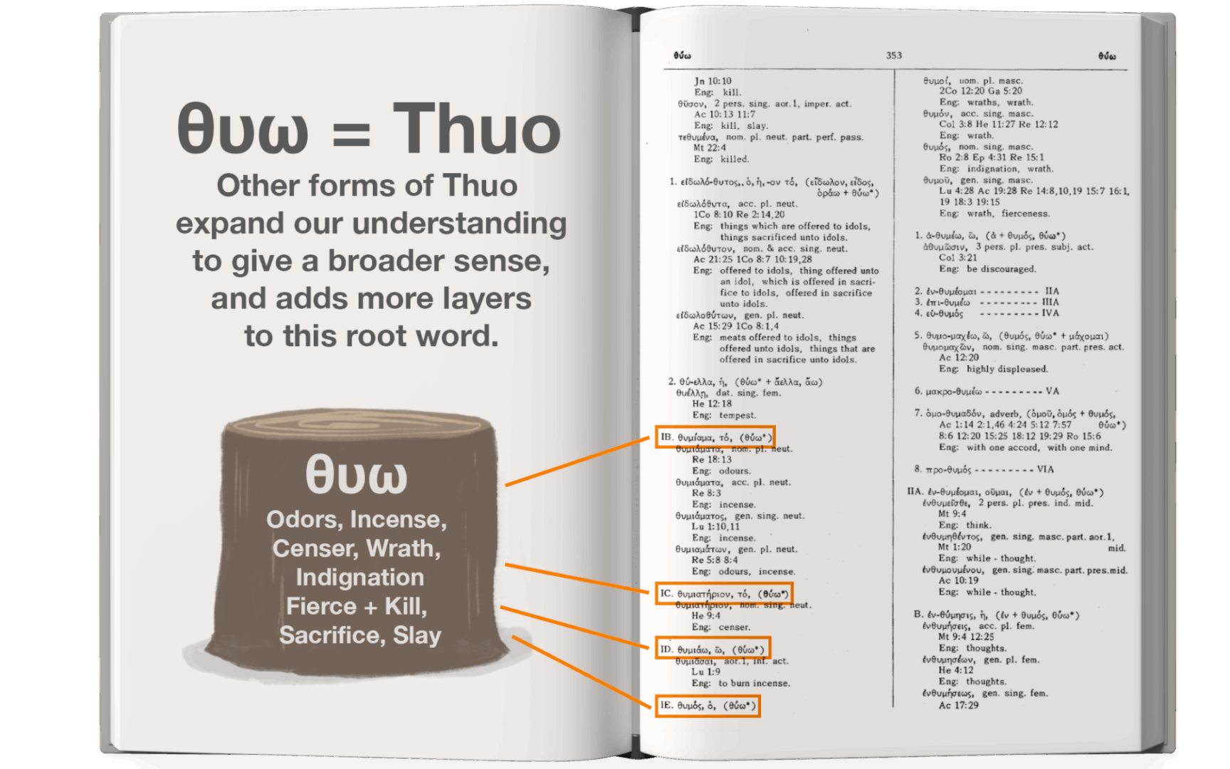 Stegenga Concordance-Thuo and Other Words
