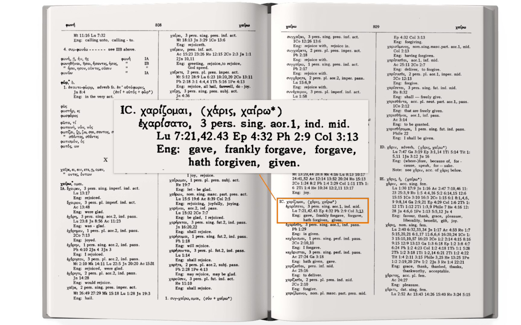 Stegenga Concordance-Forgiven