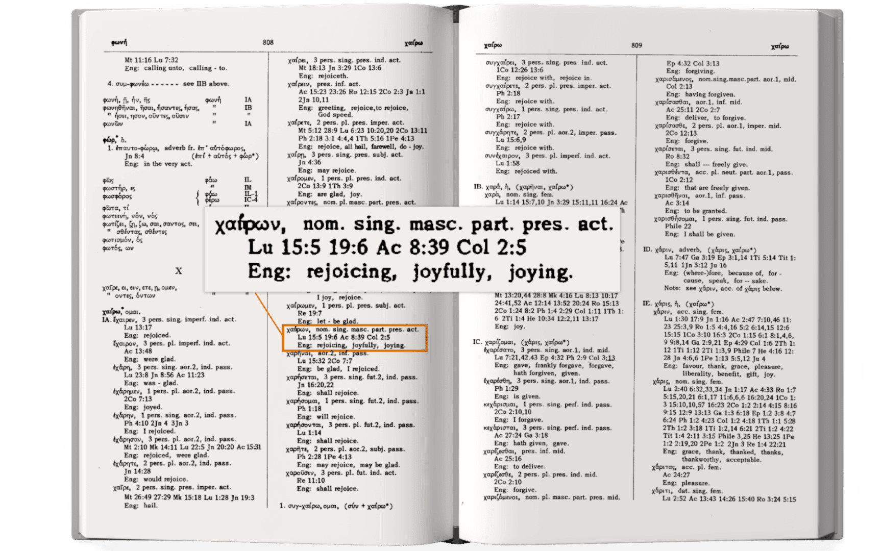 Stegenga Concordance-Rejoicing Specific